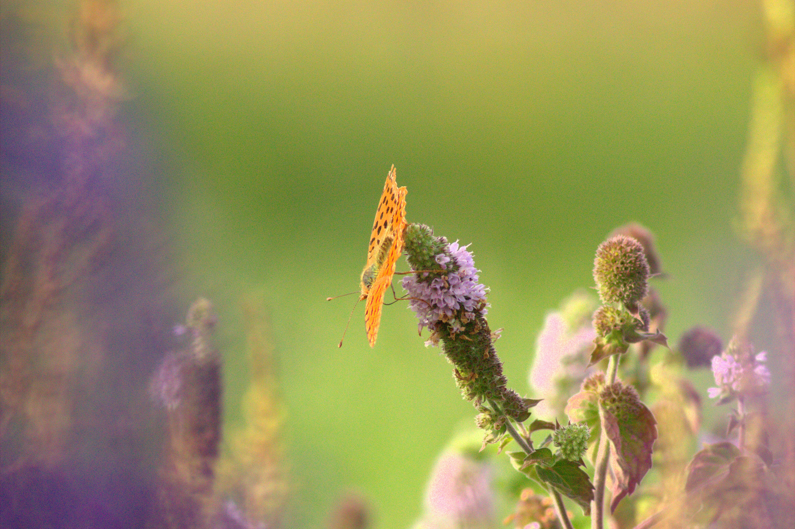 mélange de couleurs