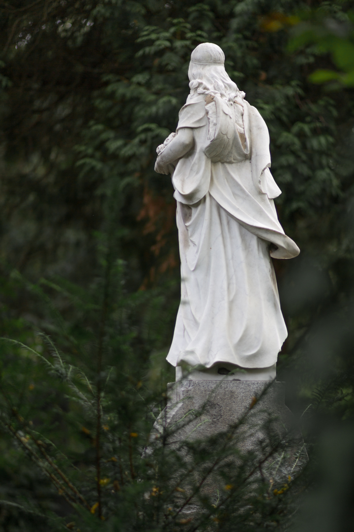 Melaten Friedhof Köln-V24