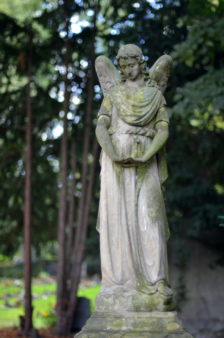 Melatenfriedhof / Köln 03