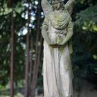 Melatenfriedhof / Köln 03