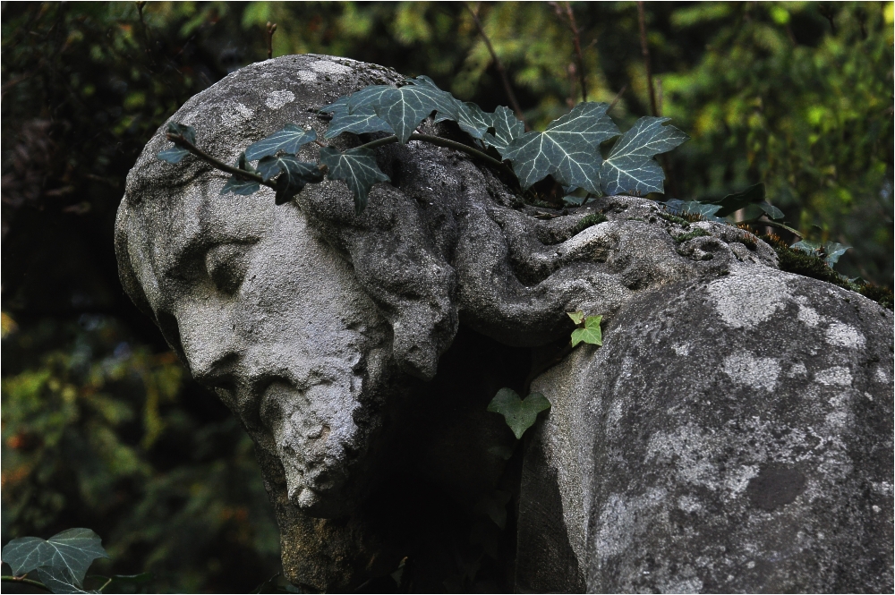 Melatenfriedhof Köln 12