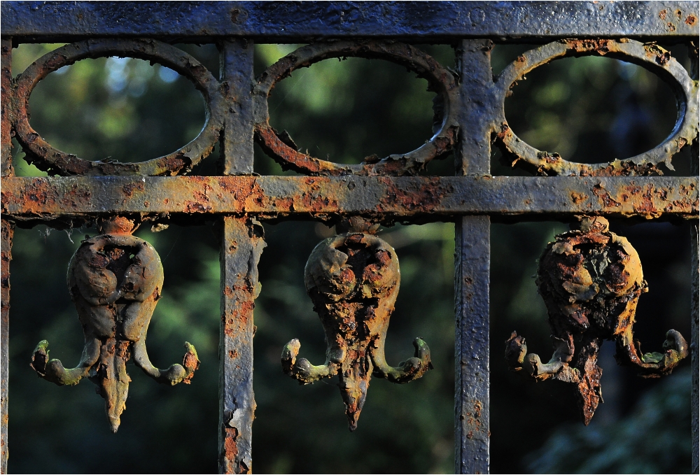 Melatenfriedhof Köln 14