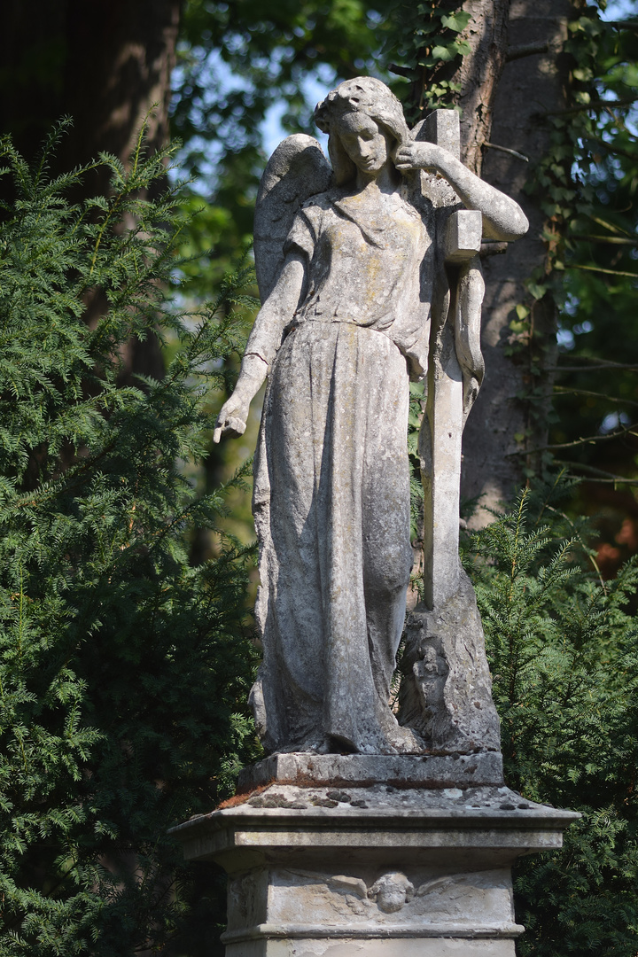 Melatenfriedhof / Köln 15