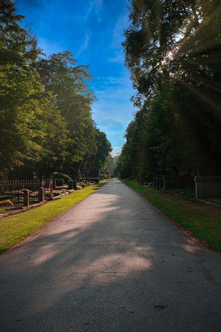 Melatenfriedhof Köln