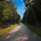 Melatenfriedhof Köln