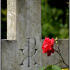 Melatenfriedhof Köln