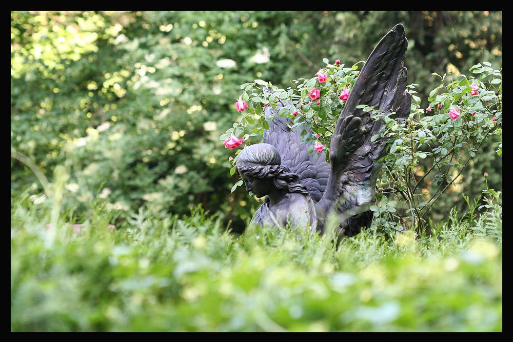 Melatenfriedhof Köln