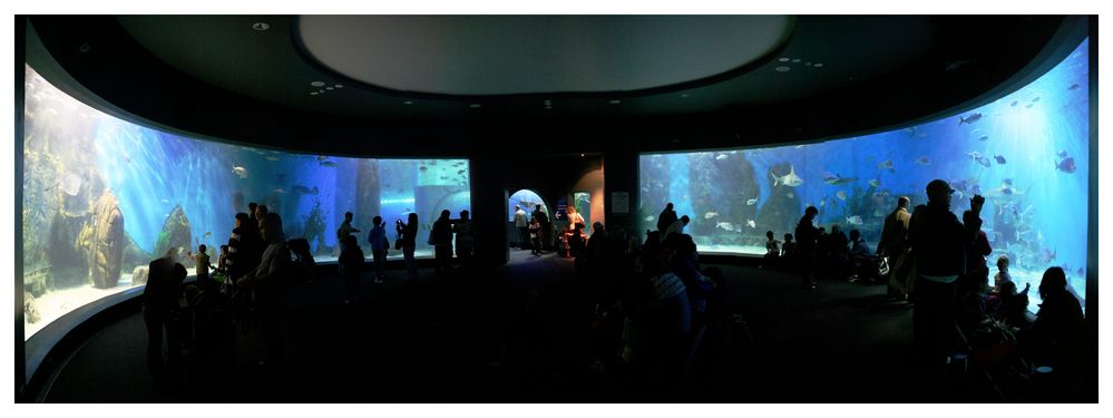 Melbourne Aquarium