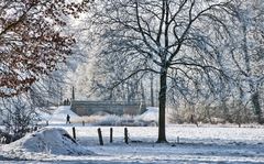 Melchersbrücke im Bremer Bürgerpark