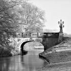 Melchersbrücke im Bürgerpark