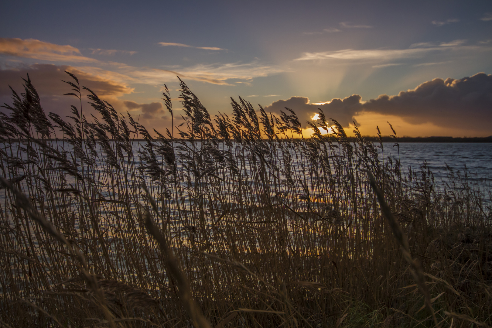 Meldorfer Bucht