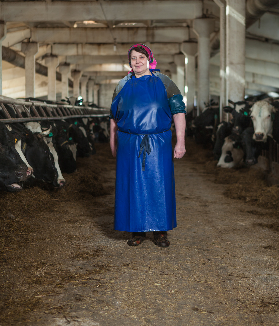 melkerin Foto & Bild erwachsene menschen, menschen bei der arbeit