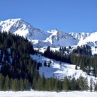 Melköde im Schwarzwassertal