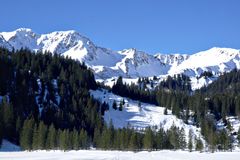 Melköde im Schwarzwassertal