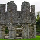 Mellifont Abbey