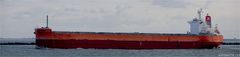 MELODIA / Bulk Carrier / Rotterdam / Bitte scrollen!