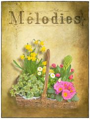 "Mèlodies"