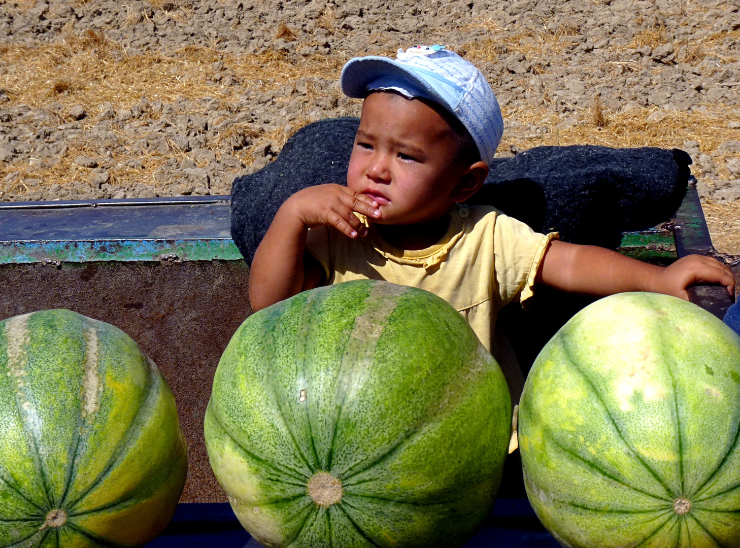 "Melonen! Melonen! Ganz billig!"