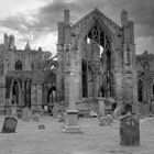 Melrose Abbey