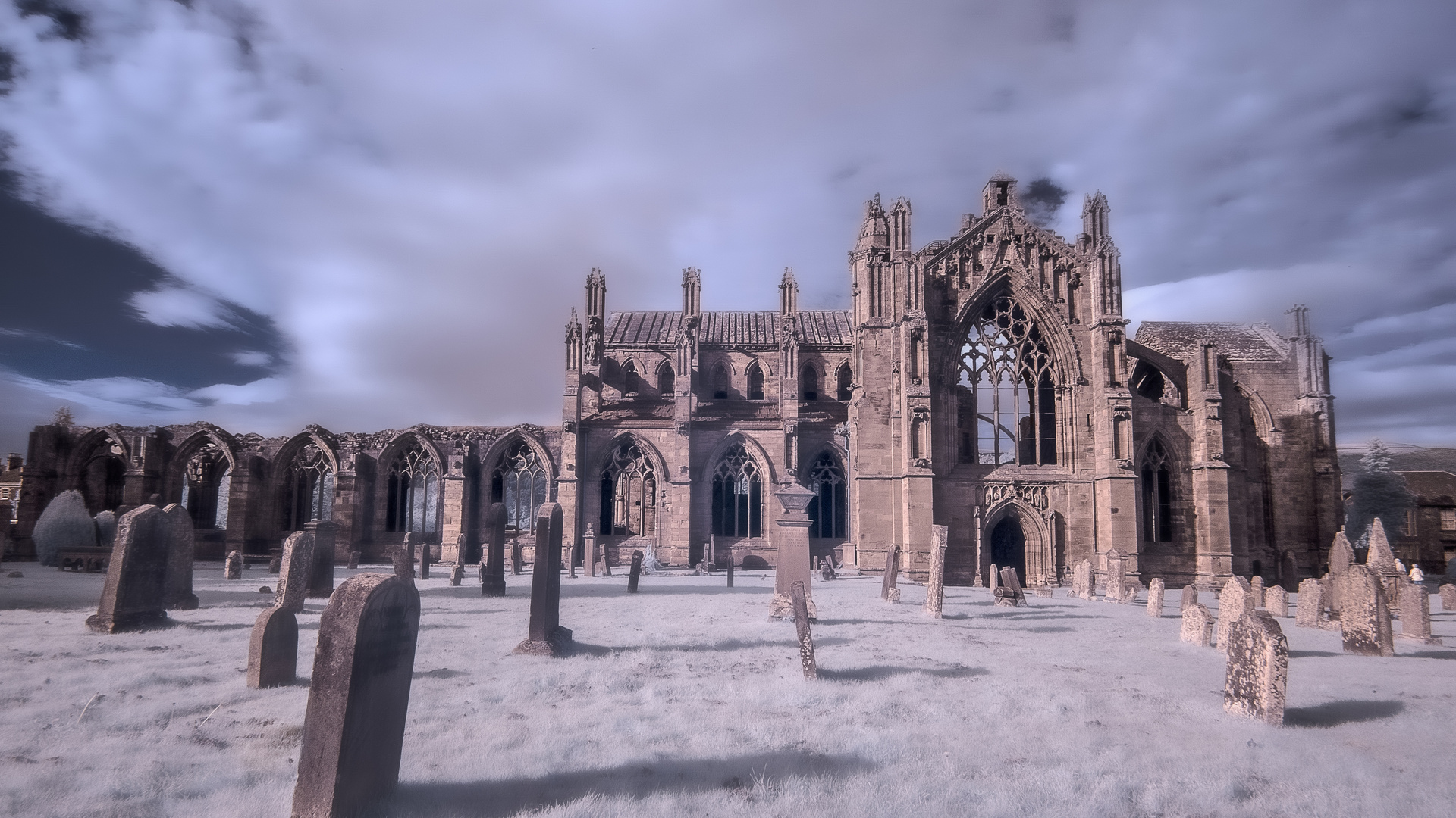 Melrose Abbey