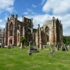 Melrose Abbey