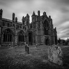 Melrose Abbey