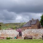 Melrose Abbey