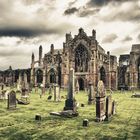 Melrose Abbey1