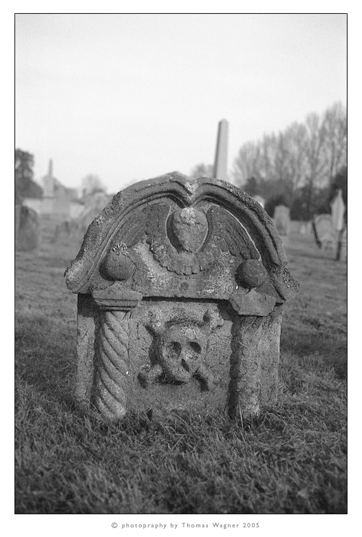 melrose abby - graveyard I