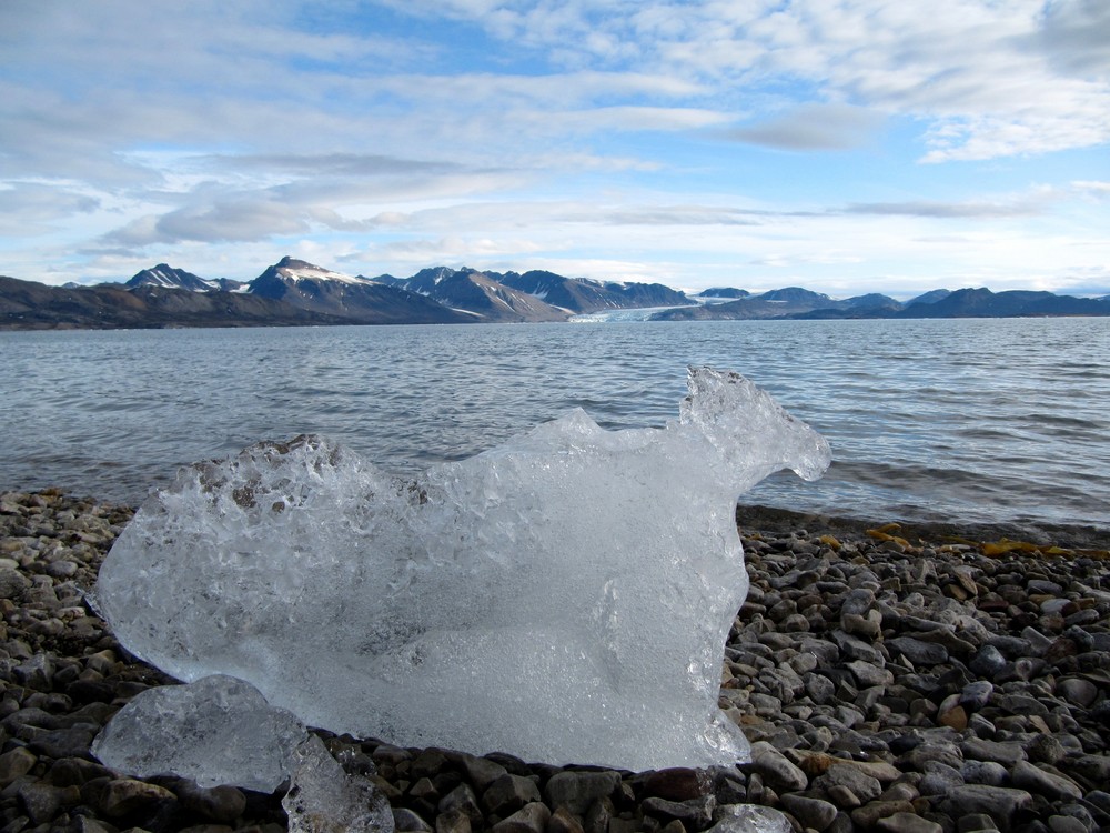 Melting Arctic