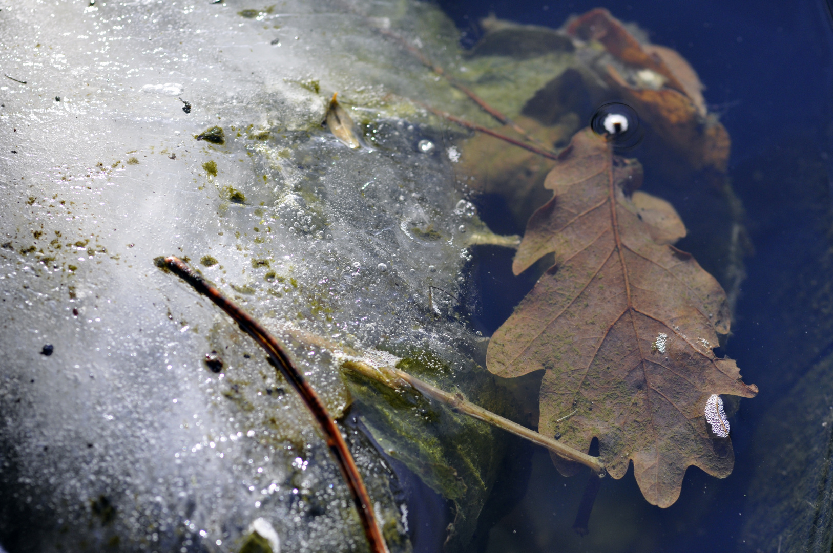 melting ice