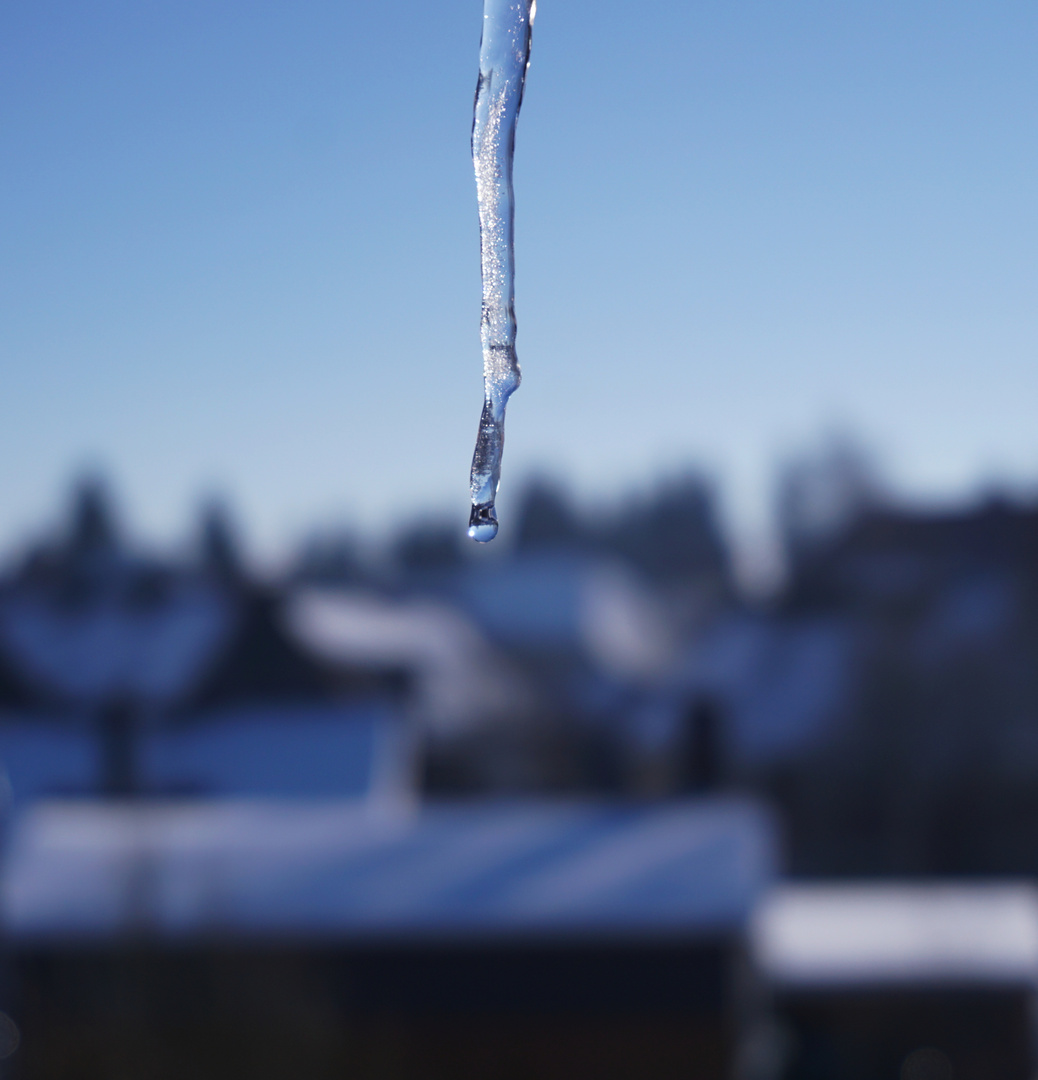 Melting Iceicle