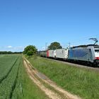 Melzo-Shuttle in der südbadischen Sonne