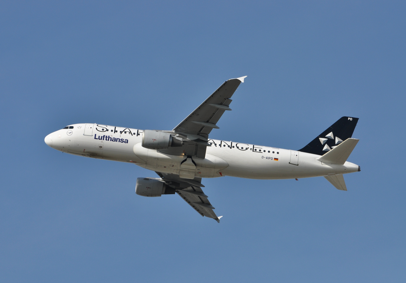 Member of Star Alliance: Lufthansa