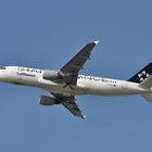 Member of Star Alliance: Lufthansa