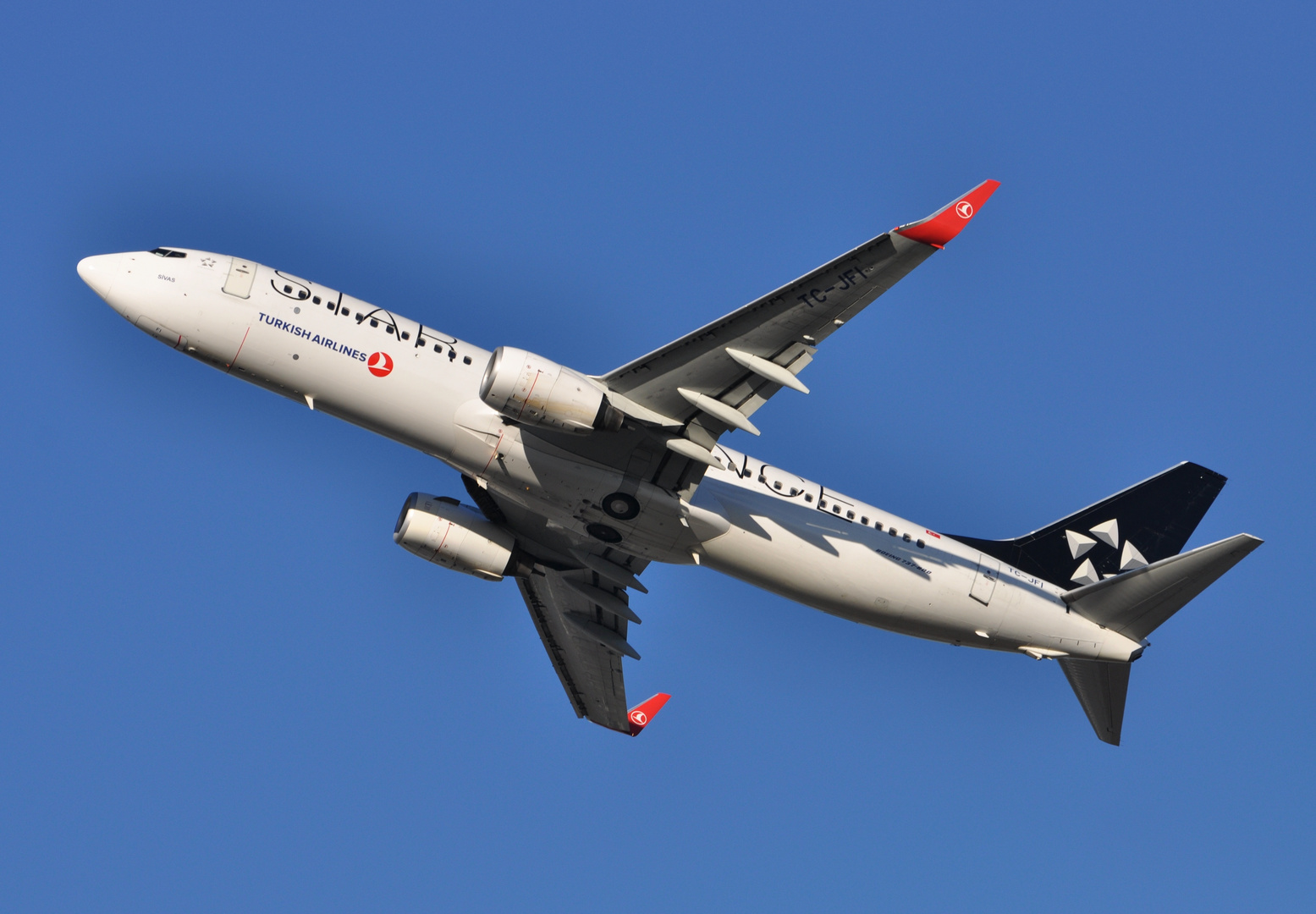 Member of Star Alliance: Turkish Airlines