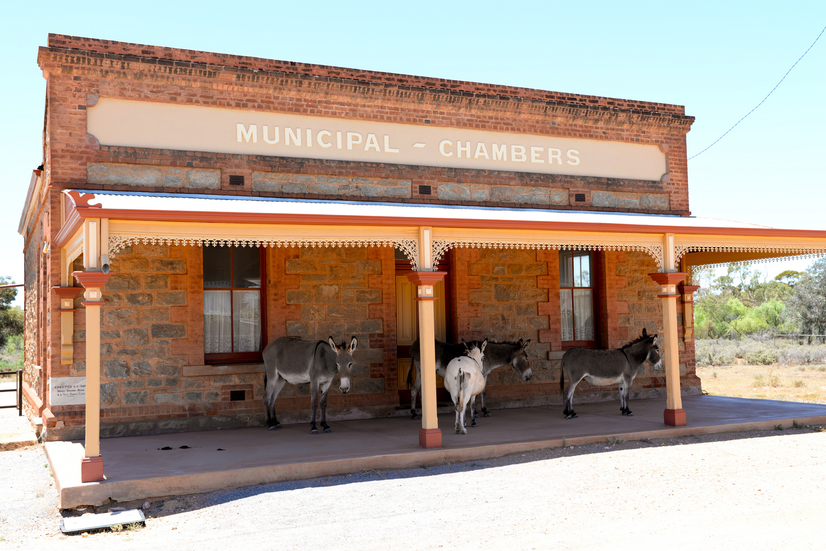 Members of the Chambers