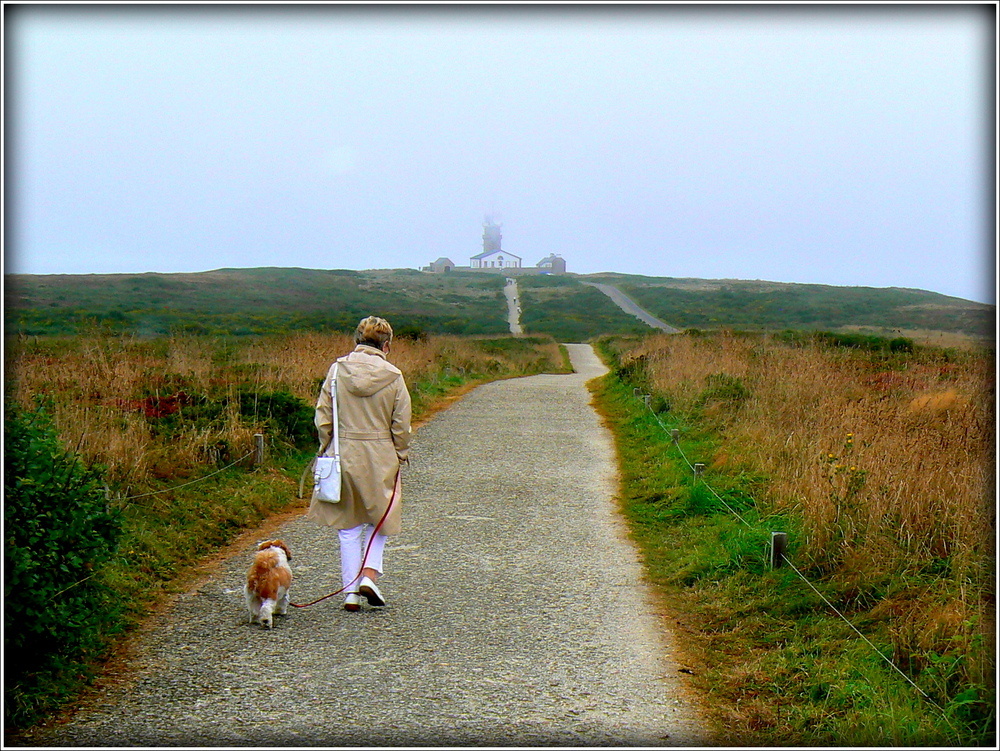 MEME BEE BOP aura vu la pointe du Raz .