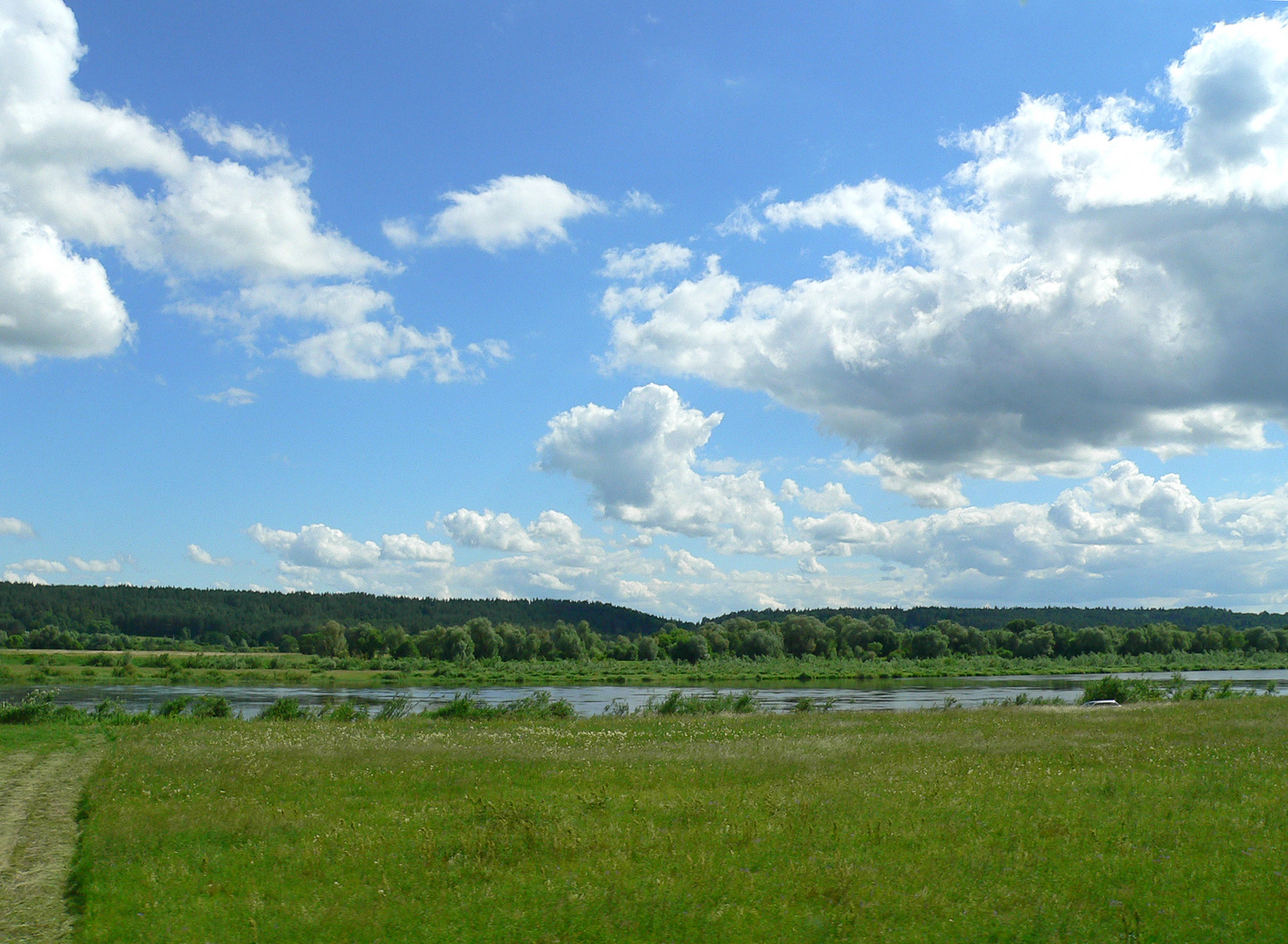 Memel bei Vilkijos nahe Kaunas