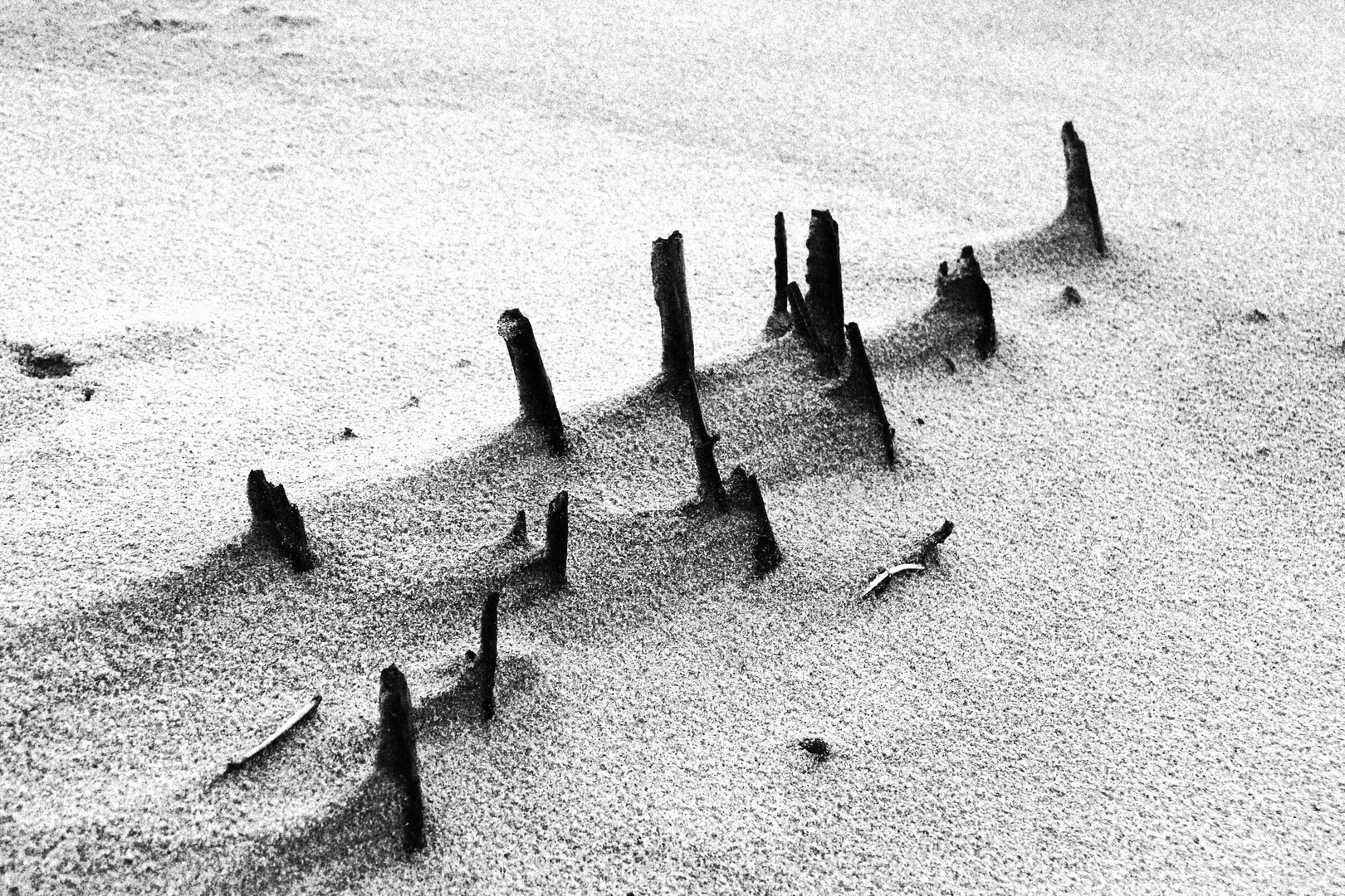 Memento mori ! Foto & Bild landschaft, meer & strand, strandmakros