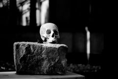 Memento Mori_13