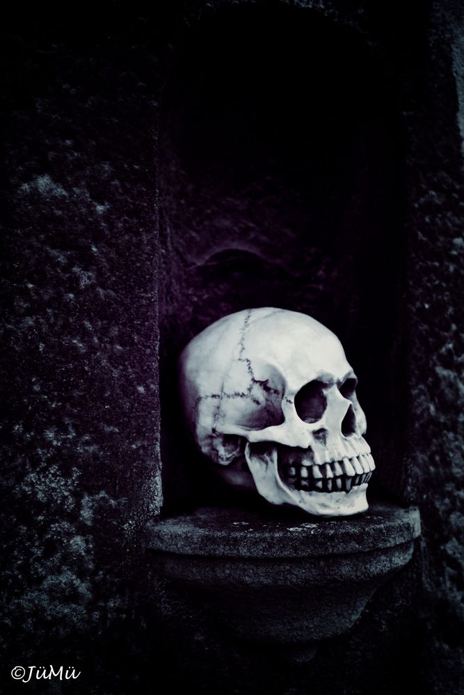 Memento Mori_33