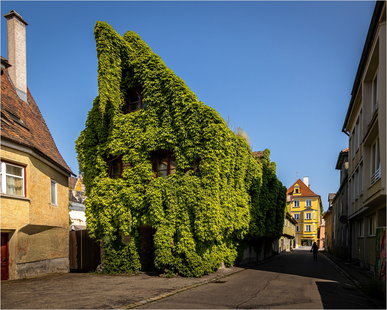 Memmingen - begrünte Fassade