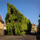 Memmingen - begrünte Fassade