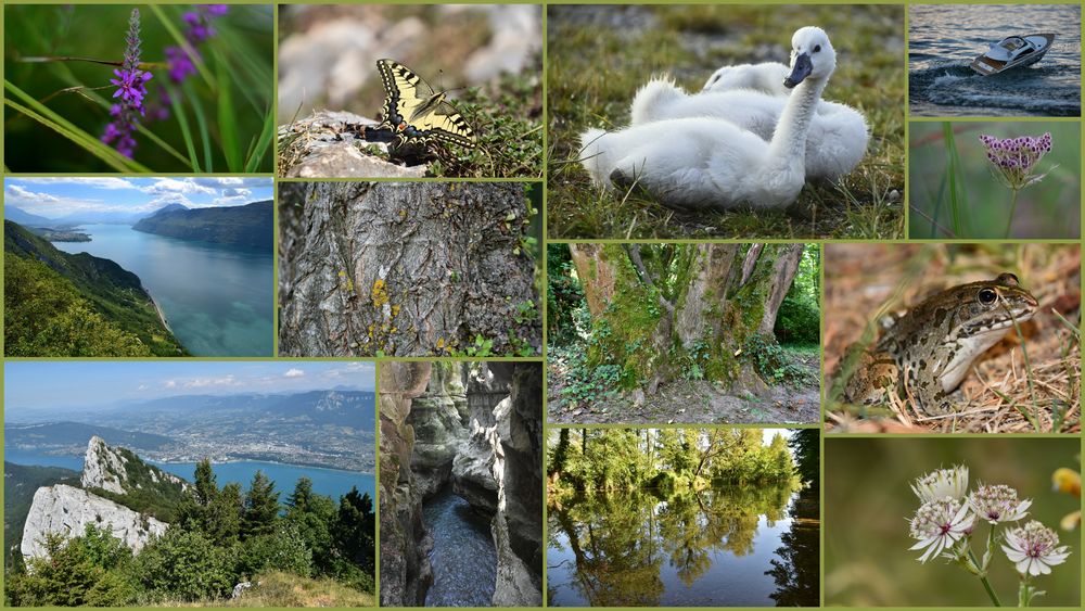 Mémoires Lac De Bourget.