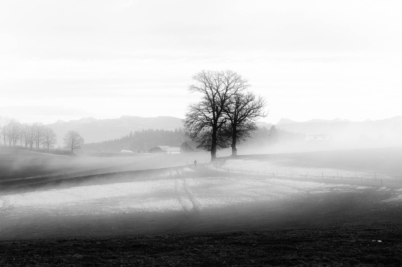 *** Memorable Winter Walk ***