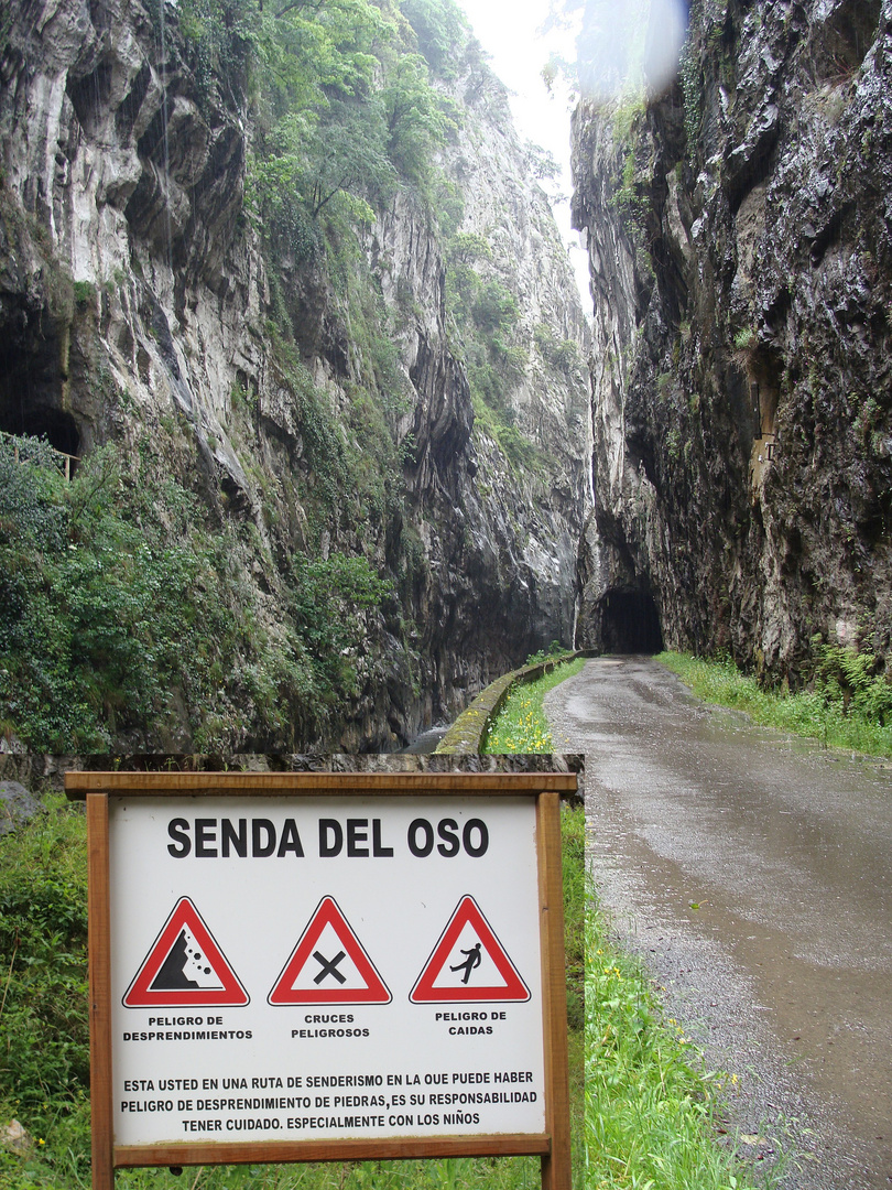 Memoria de Asturias / Mémoire des Asturies / Andenken an Asturien...03