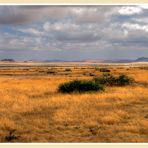 MEMORIAS DE AFRICA - LLEGADA A SOSSOSVLEI