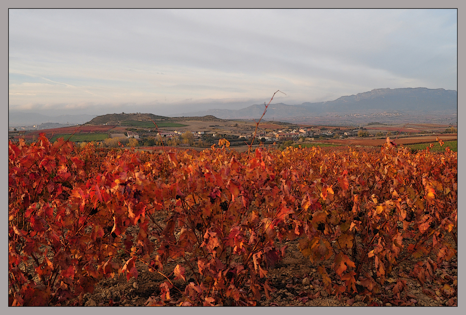 Memorias de una tarde en la bodega