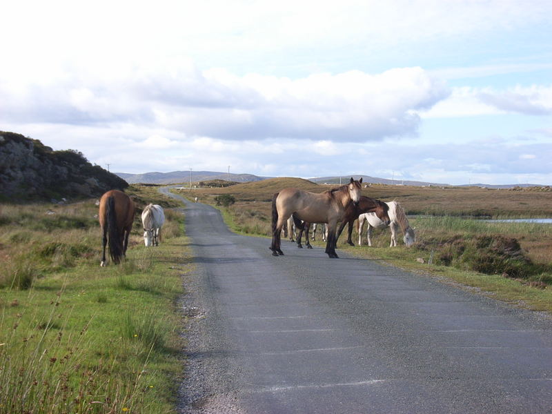 Memories of Connemara